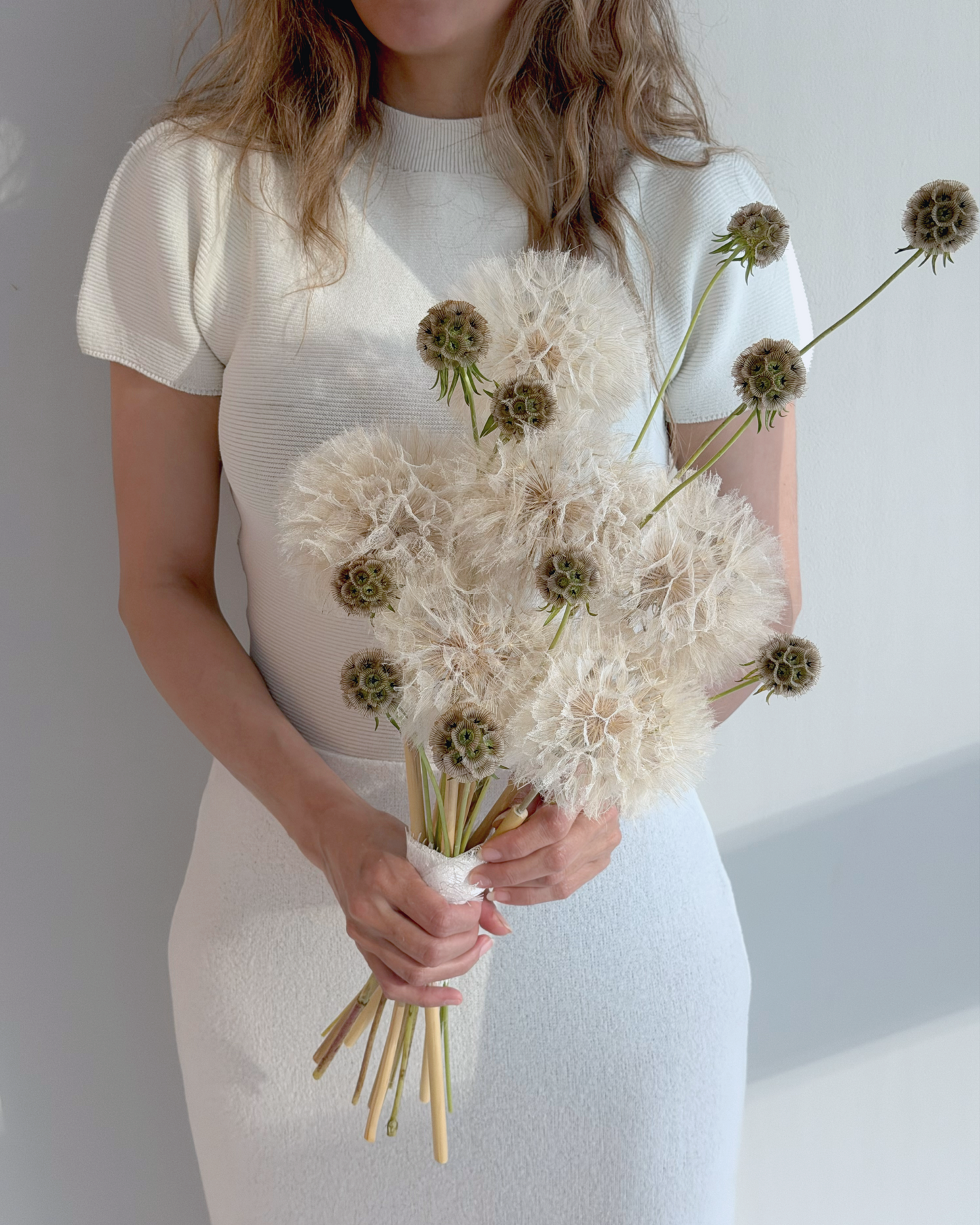 Wild Dandelion