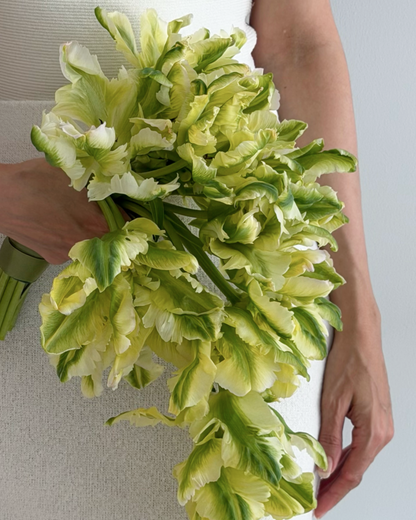 Cascade en Fleur