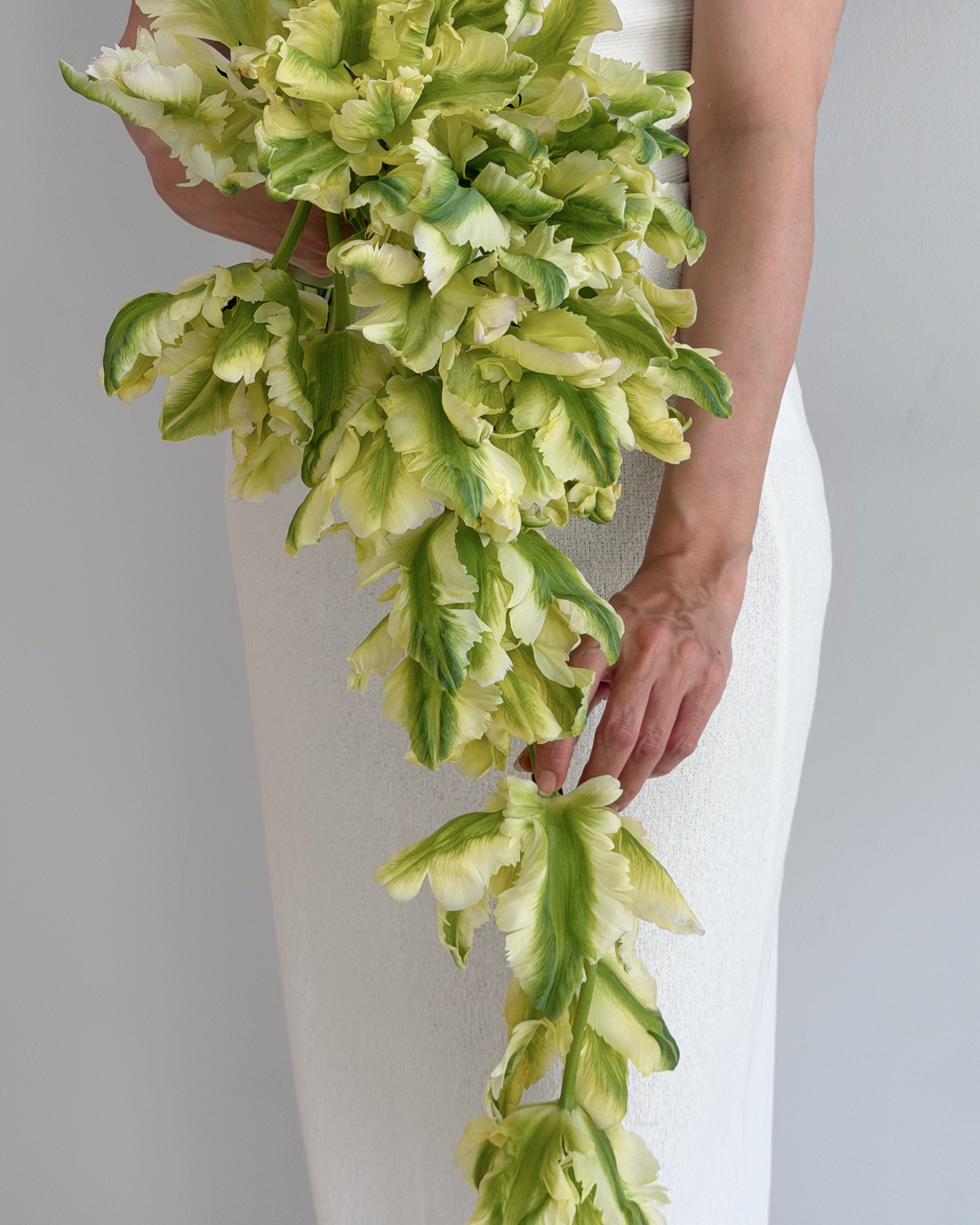 Cascade en Fleur