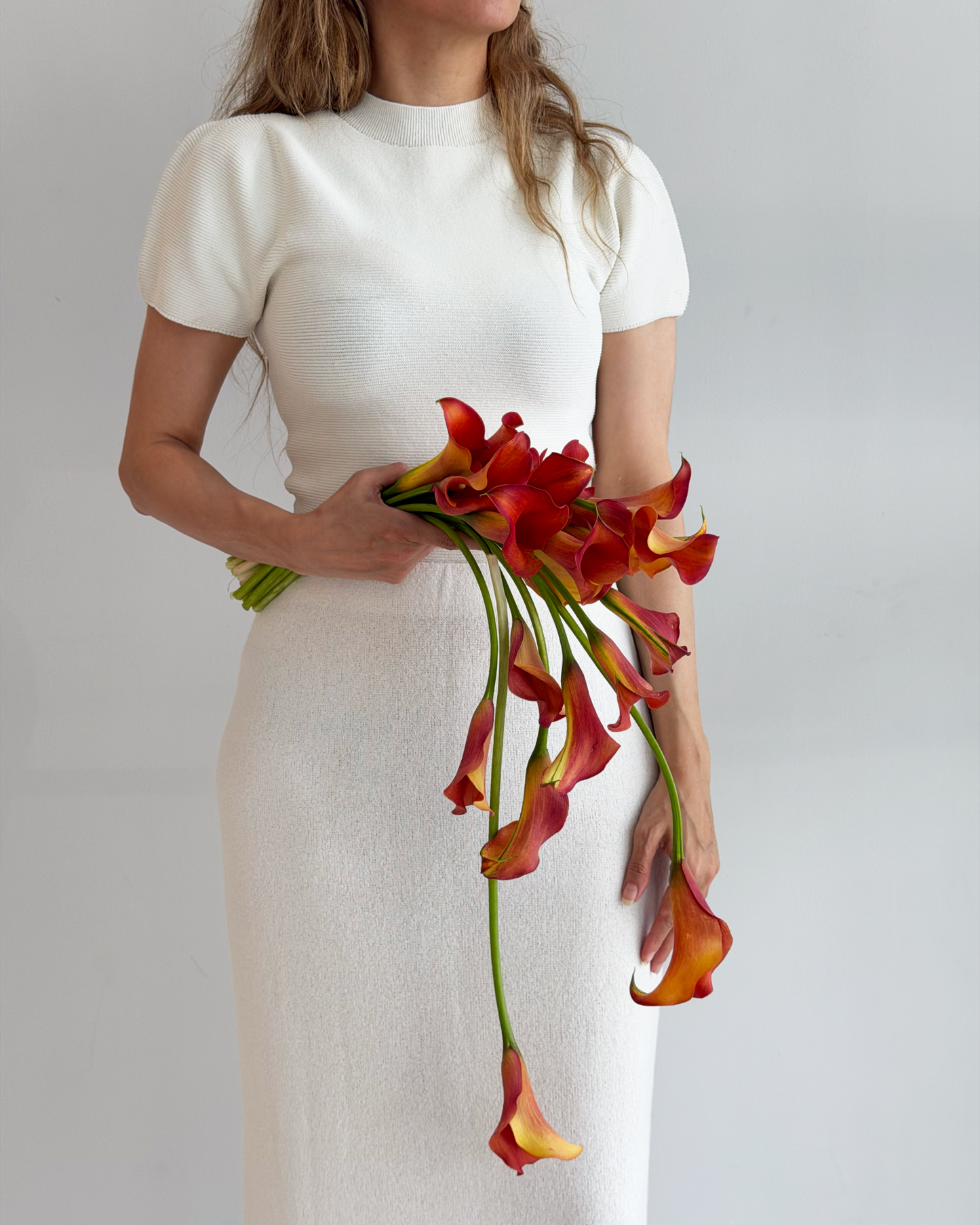 Phoenix Bloom