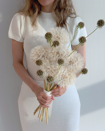 Wild Dandelion
