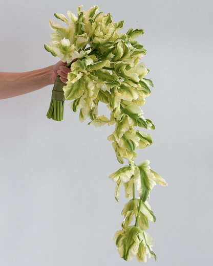 Cascade en Fleur