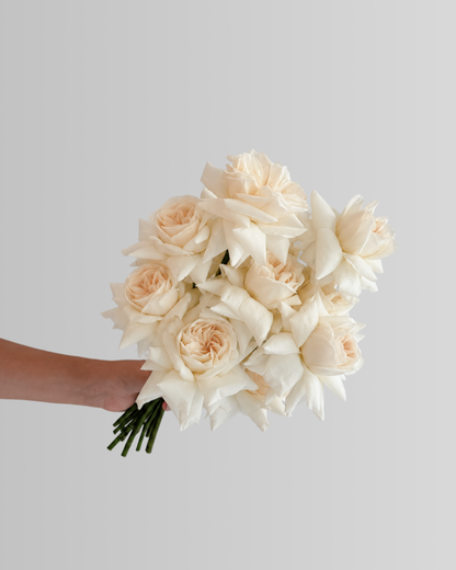 Champagne Blush