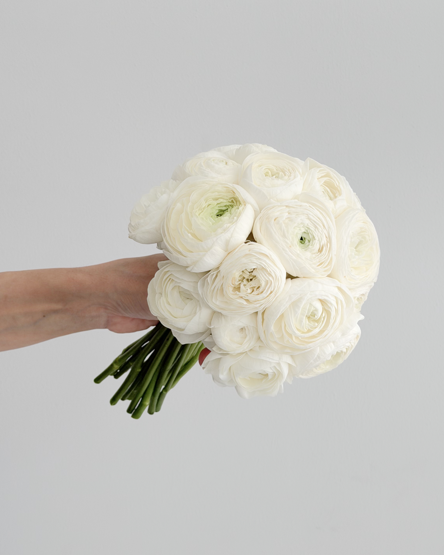 Classic Ranunculus Bouquet