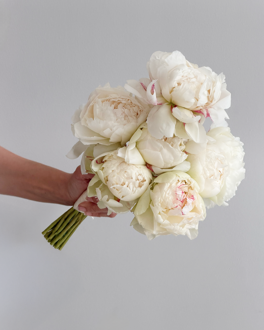 The Peony Edit